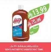 GENTO ANTISEPTIC DISINFECTANT 750ML