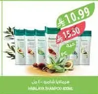 شامبو هيمالايا