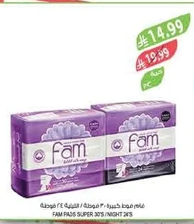 FAM PADS SUPER 30'S / NIGHT 24'S