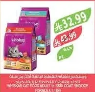 Whiskas Adult Cat Food 1+ Skin & Coat / Indoor Formula 1kg