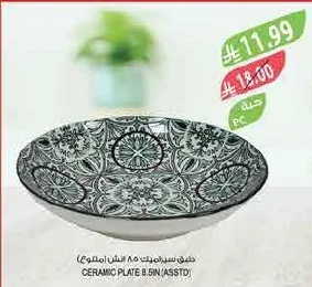 CERAMIC PLATE 8.5IN (ASSTD)