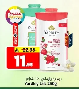 بودرة ياردلي
