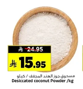 Desiccated coconut Powder