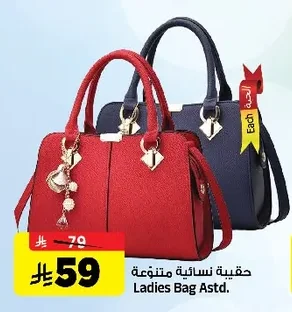 Ladies Bag Astd.
