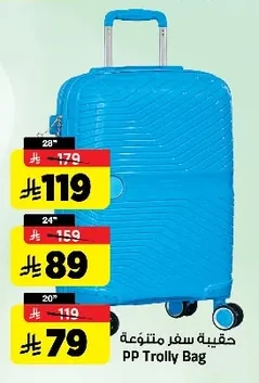 PP Trolley Bag
