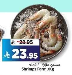 Shrimps Farm