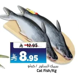 Cat Fish