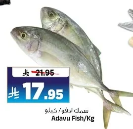 Adavu Fish