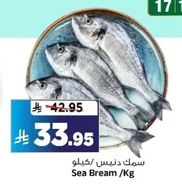 Sea Bream