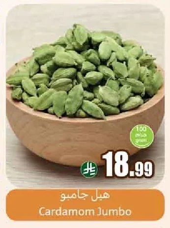 هيل جامبو
