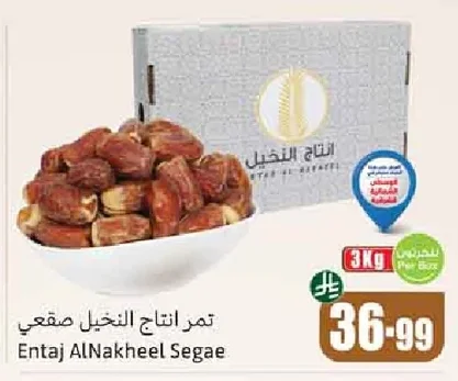 Entaj AlNakheel Segae