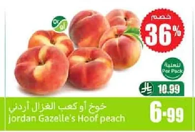 خوخ أو كعب الغزال أردني