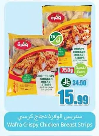 ستربس الوفرة دجاج كرسي
