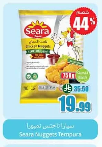 سيارا ناجتس تمبورا