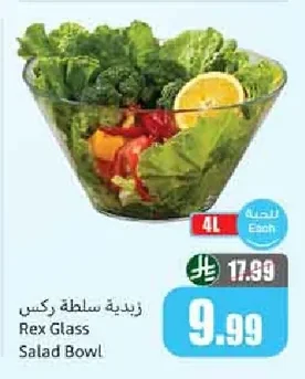 Rex Salad Bowl