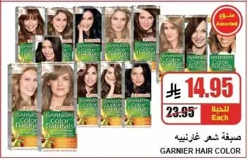 Garnier Hair Color
