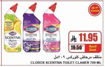 Spray Cleaner