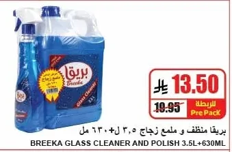 Glass Cleaner and Polish