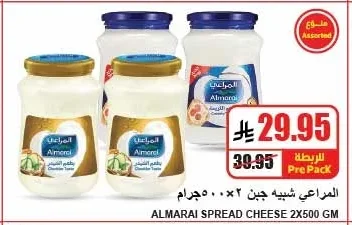 Processed Cheese Slices