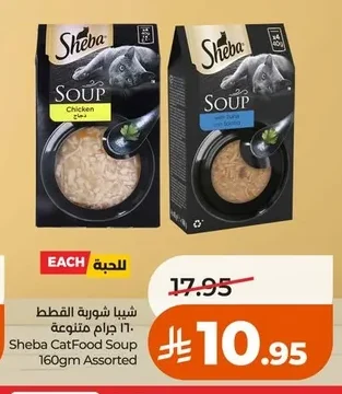شيبا شوربة القطط