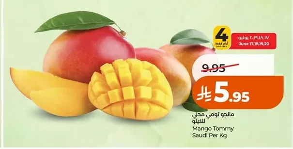 Mango Tommy Saudi Per Kg