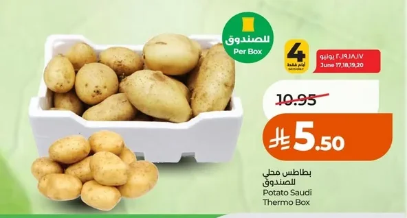 Potato Saudi