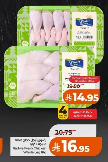 Fresh Chicken Drumstick