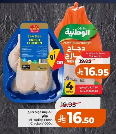 Fresh Chicken