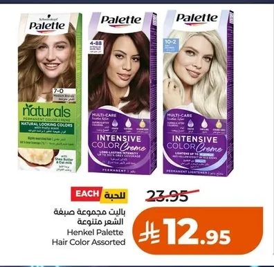 Palette Assorted Hair Color Kit