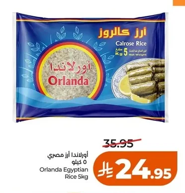 أورلاندو أرز مصري