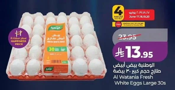 Al Watania Fresh White Eggs Large