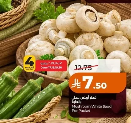 فطر أبيض محلي