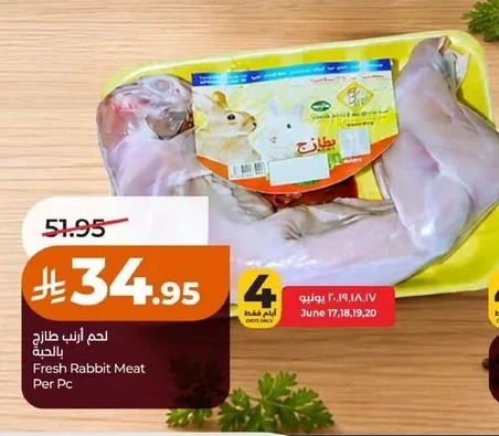 Fresh Rabbit Meat