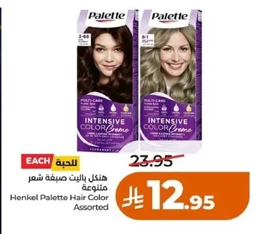 Palette Hair Color Assorted