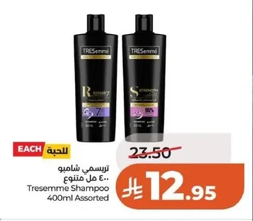 ترسيمي شامبو
