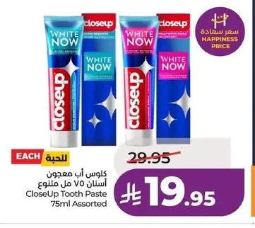 CloseUp Toothpaste Assorted 75ml