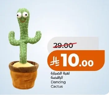 Dancing Cactus