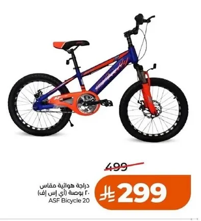 ASF Bicycle 20