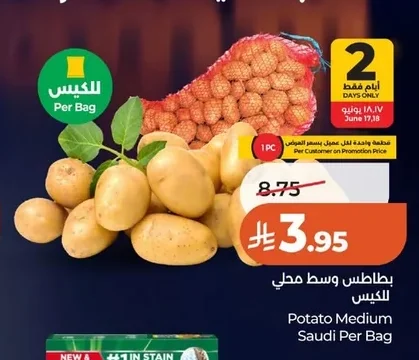 Potato Medium Saudi