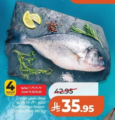 Farmed Sea Bream (Size300/700) Per Kg