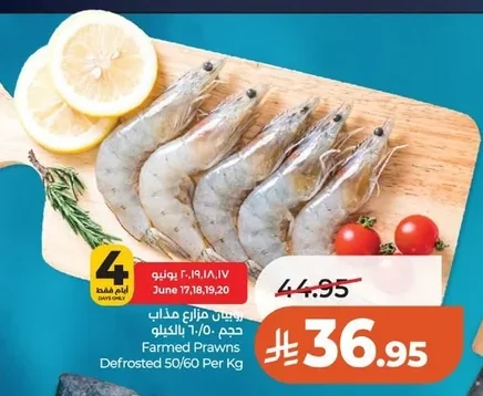 Defrosted 50/60 Per Kg