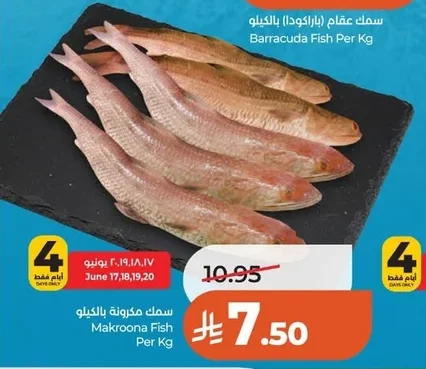Makroona Fish Per Kg