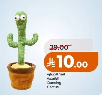Dancing Cactus