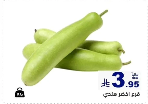Indian Green Zucchini