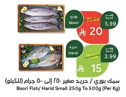 سمك بوري / حريد صغير