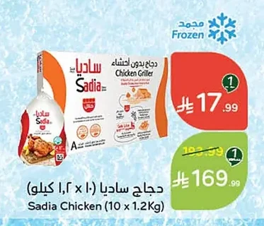 دجاج ساديا