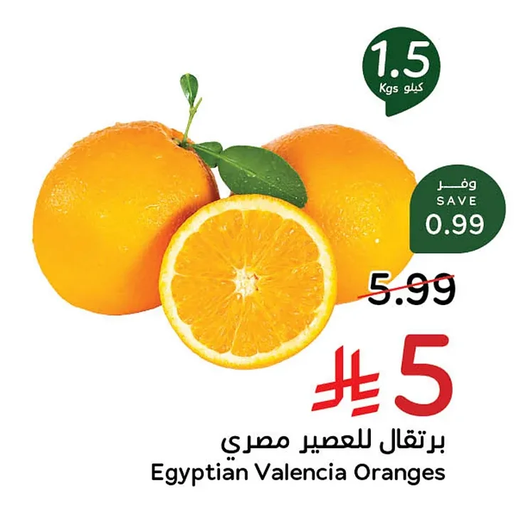 برتقال للعصير مصري