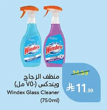 Windex Glass Cleaner