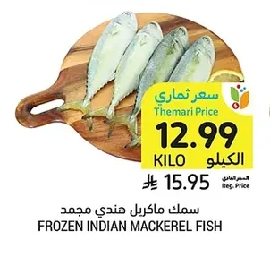 FROZEN INDIAN MACKEREL FISH
