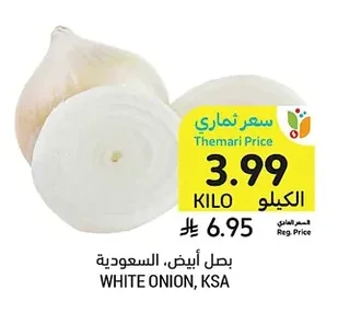 بصل أبيض